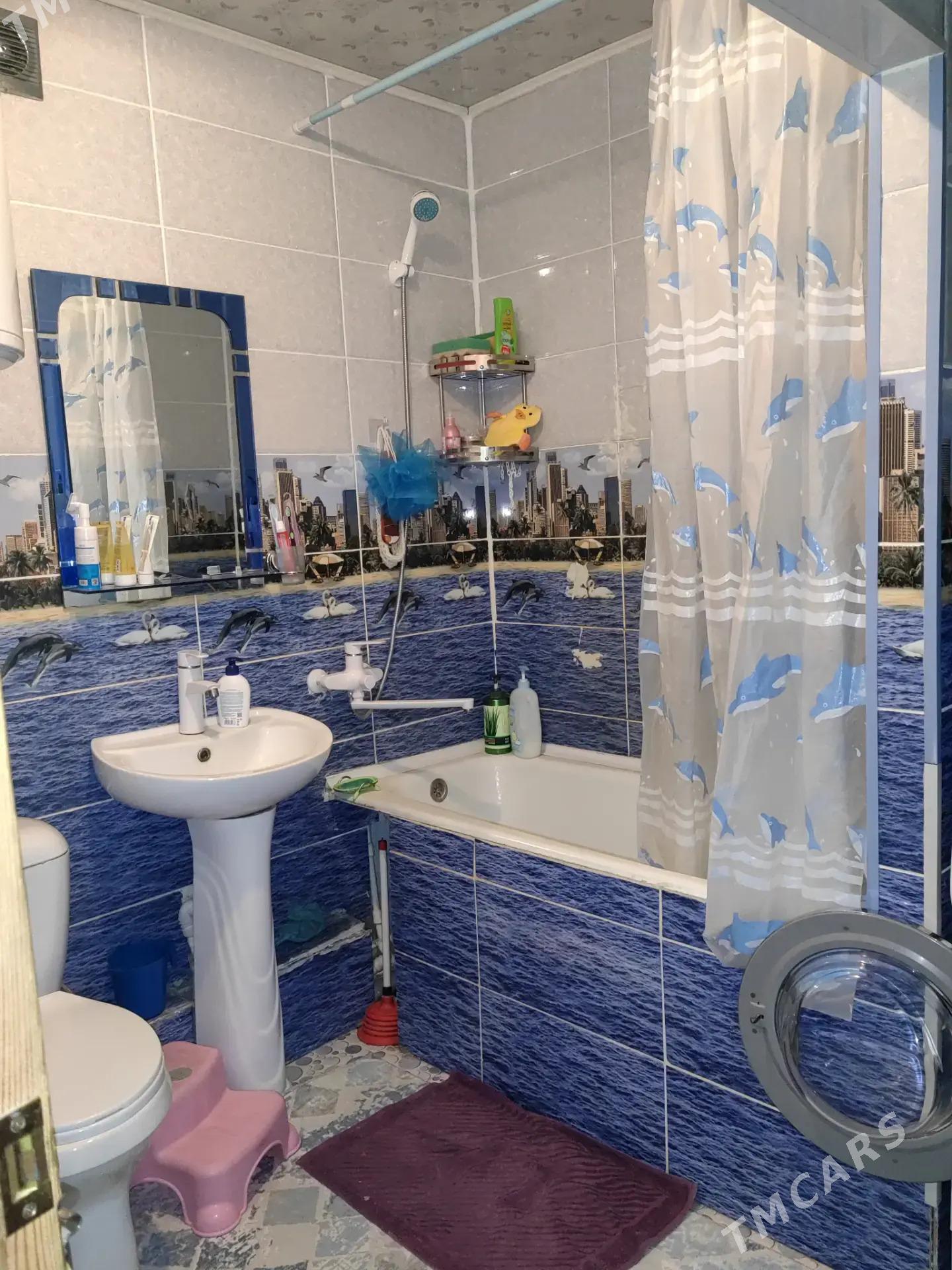 Satlyk jay - Mary - img 3