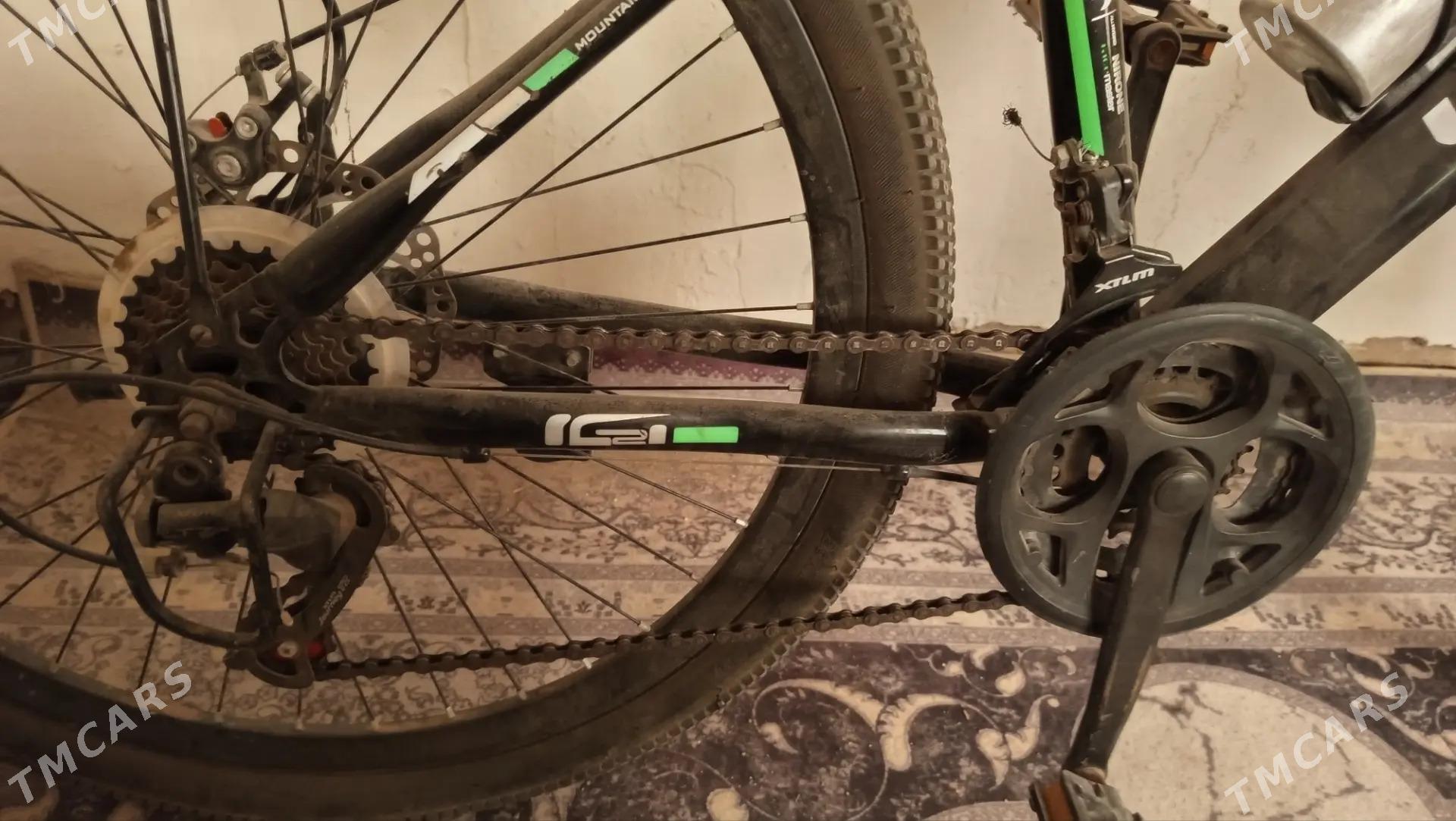 Youmi - Дашогуз - img 4