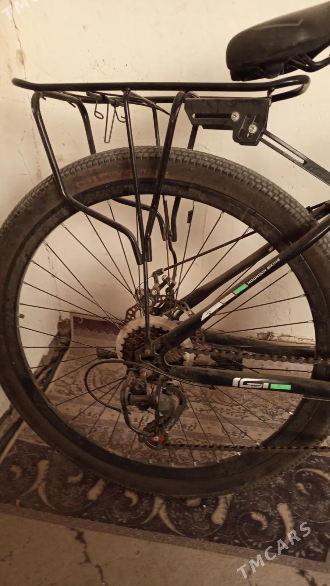 Youmi - Дашогуз - img 3