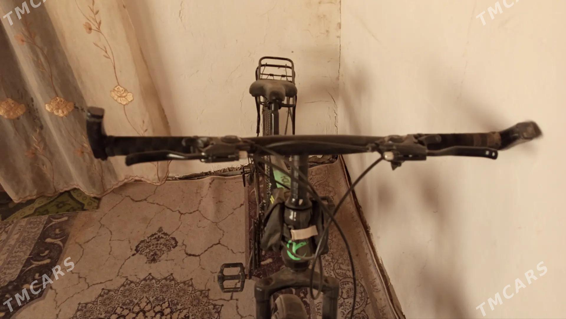 Youmi - Дашогуз - img 1