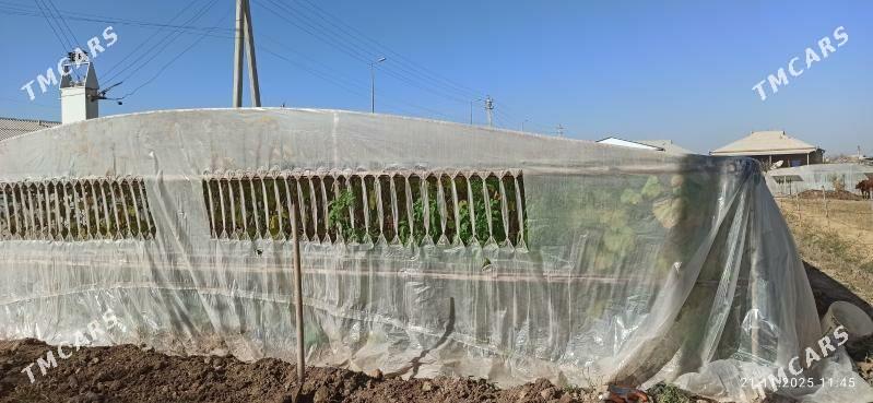 Parnik - Murgap - img 2