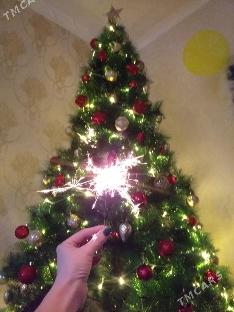 ЁЛКА - Туркменабат - img 2