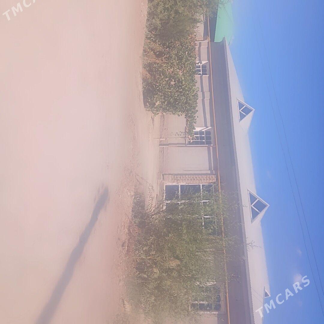jay - етр. Туркменбаши - img 1