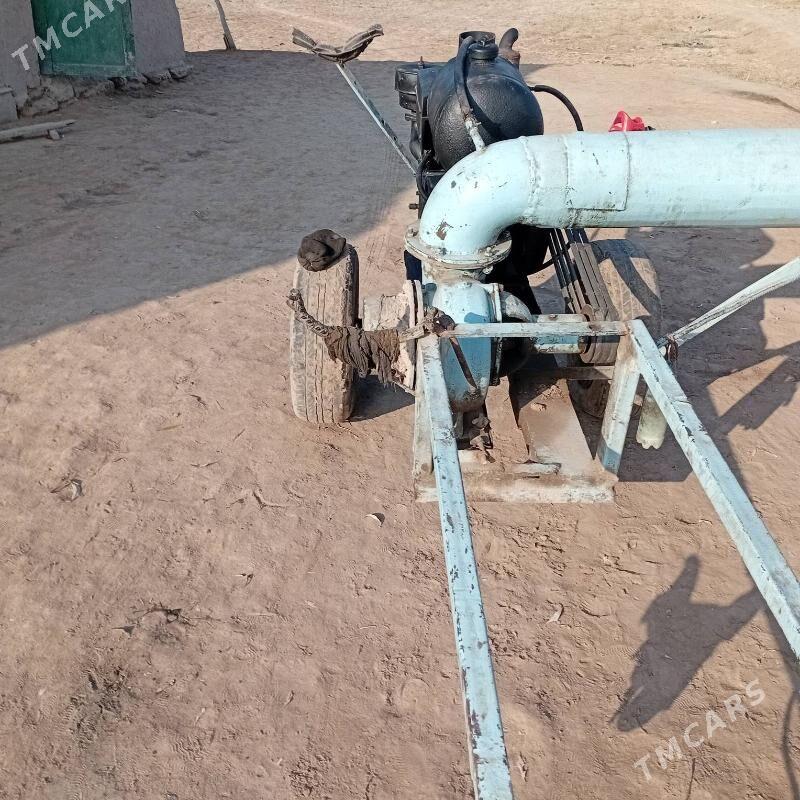 Pat pat nasoz - етр. Туркменбаши - img 5