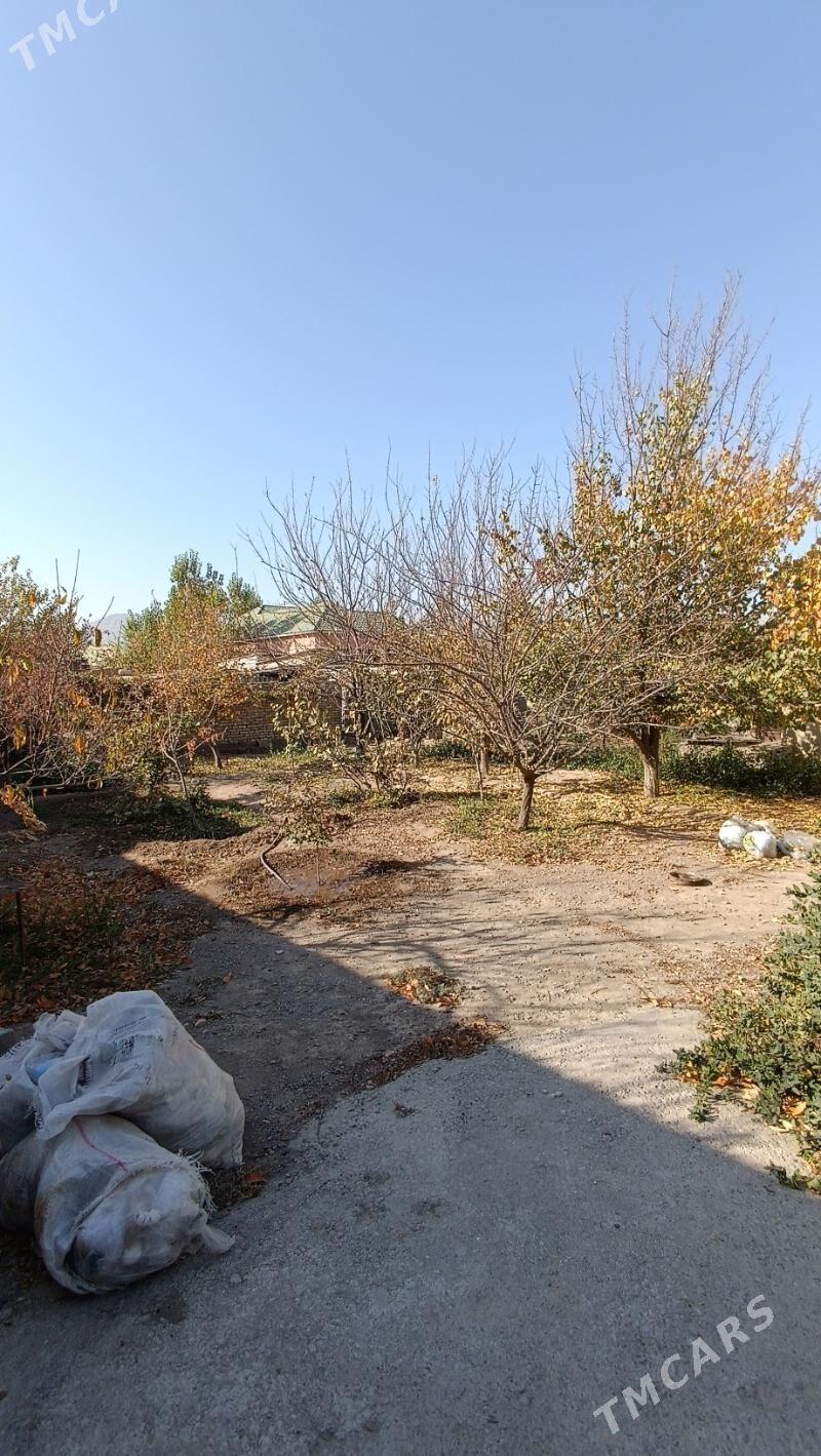 BAGYR(mirewe)  - Bagyr - img 3