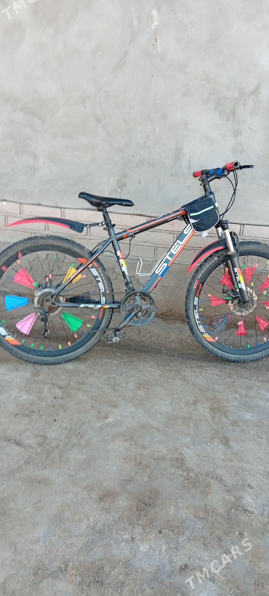 Stels - Кёнеургенч - img 2