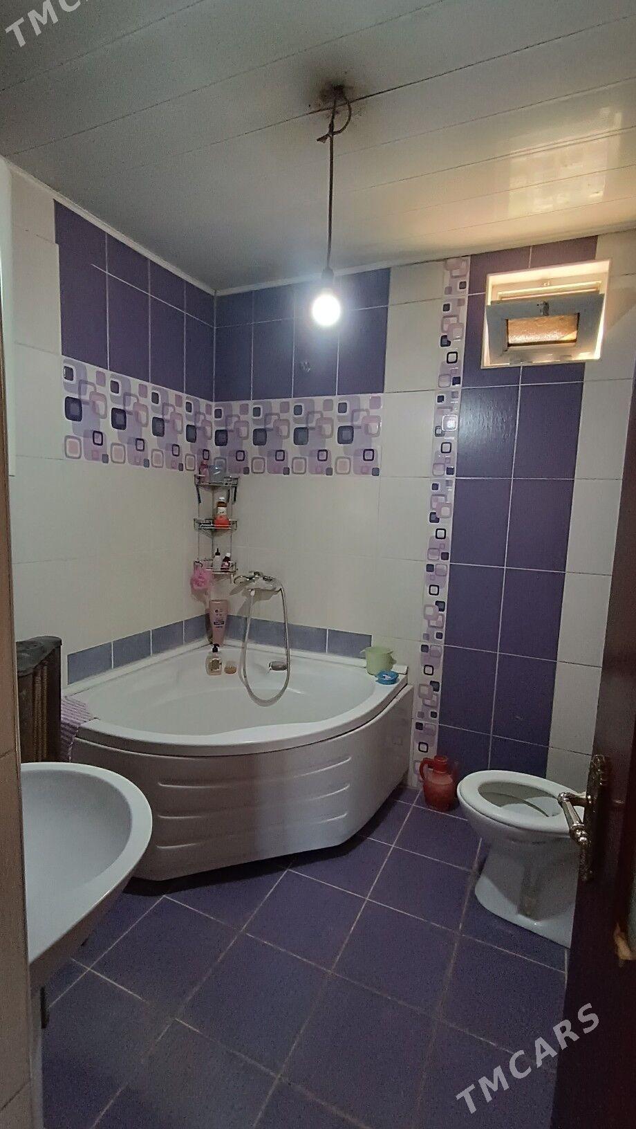 BAGYR(mirewe)  - Bagyr - img 6