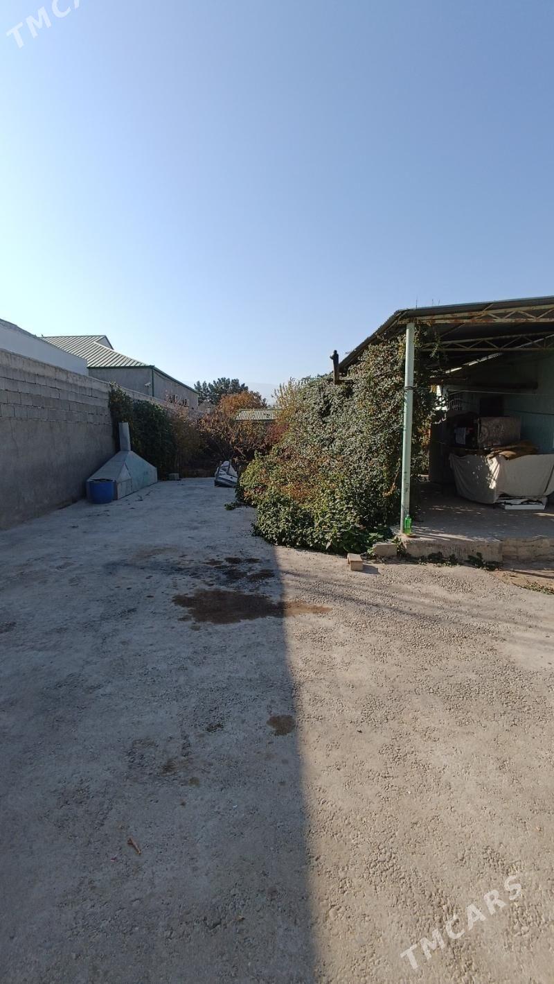 BAGYR(mirewe)  - Bagyr - img 2