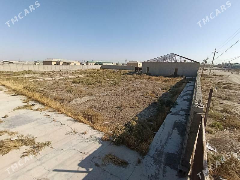 satlyk jay artykda - Кака - img 2