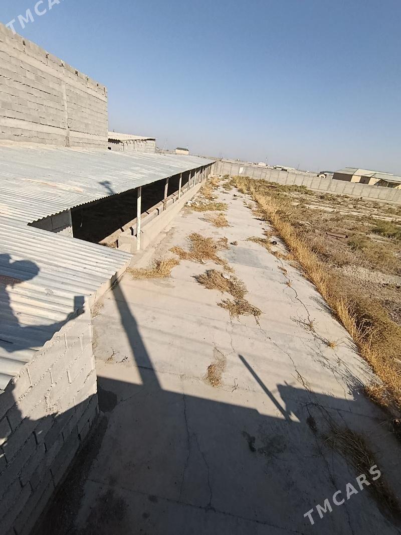 satlyk jay artykda - Кака - img 4