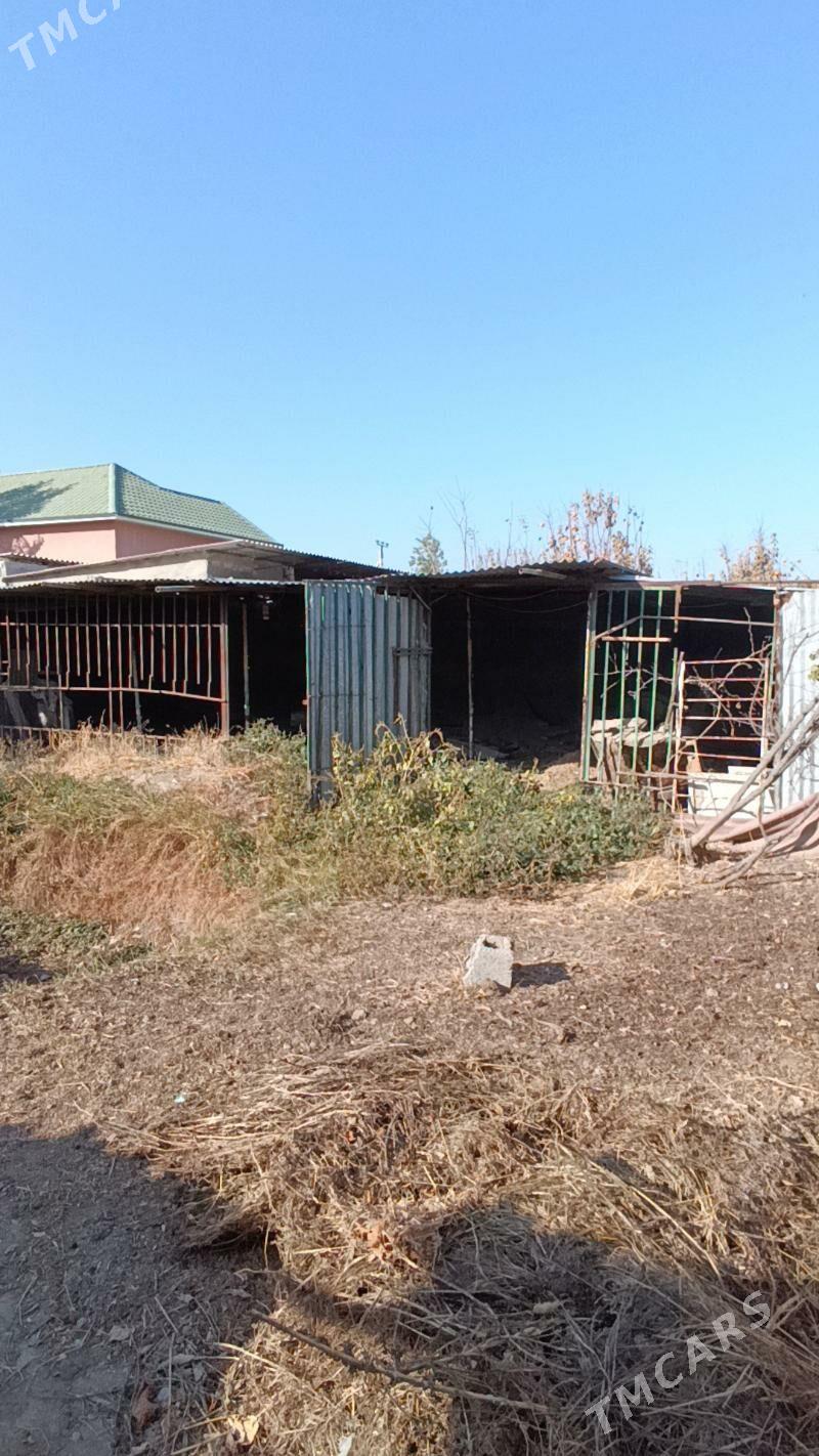 BAGYR(mirewe) - Bagyr - img 1