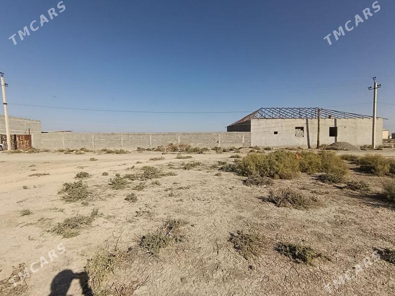 satlyk jay artykda - Кака - img 3