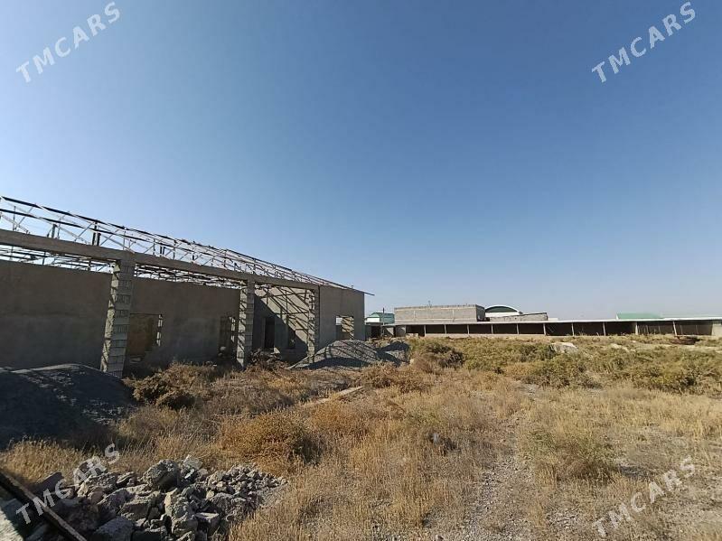 satlyk jay artykda - Кака - img 5