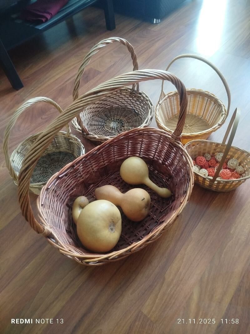 кротон,аглонема,горшки,кашпо. - Ашхабад - img 7