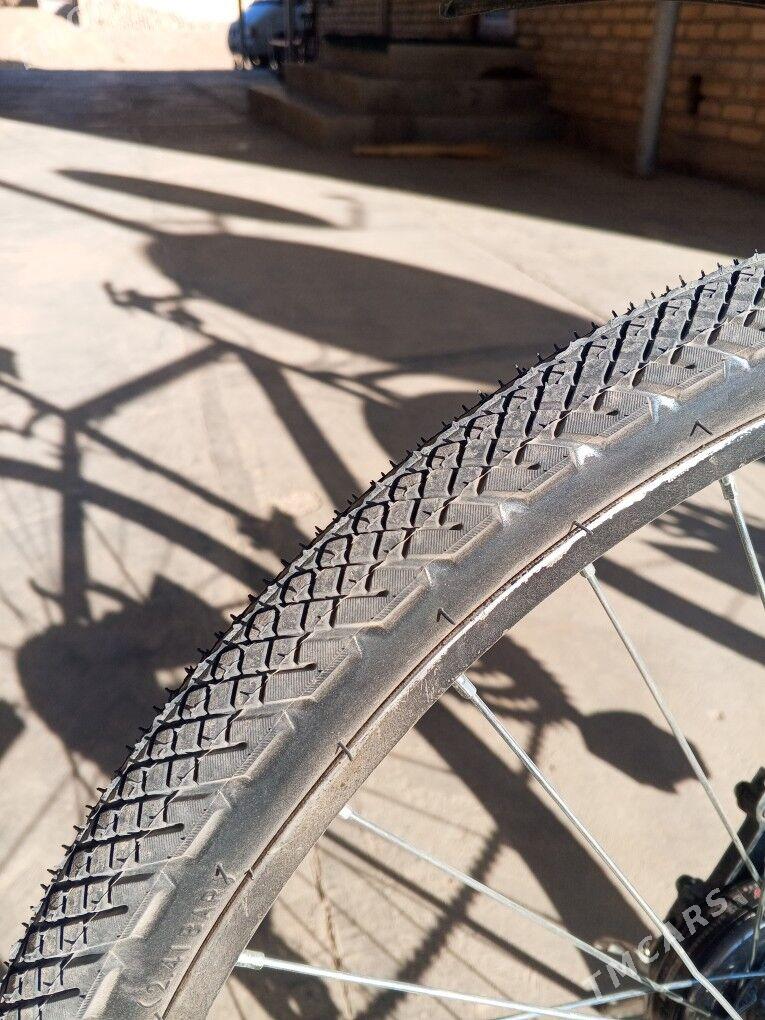 amansatr welik - Murgap - img 2