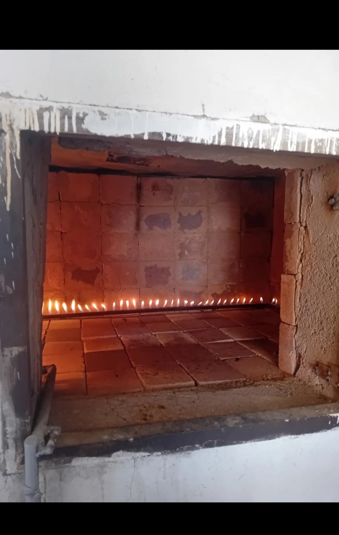 arenda pekarny - Ak bugdaý etraby - img 4