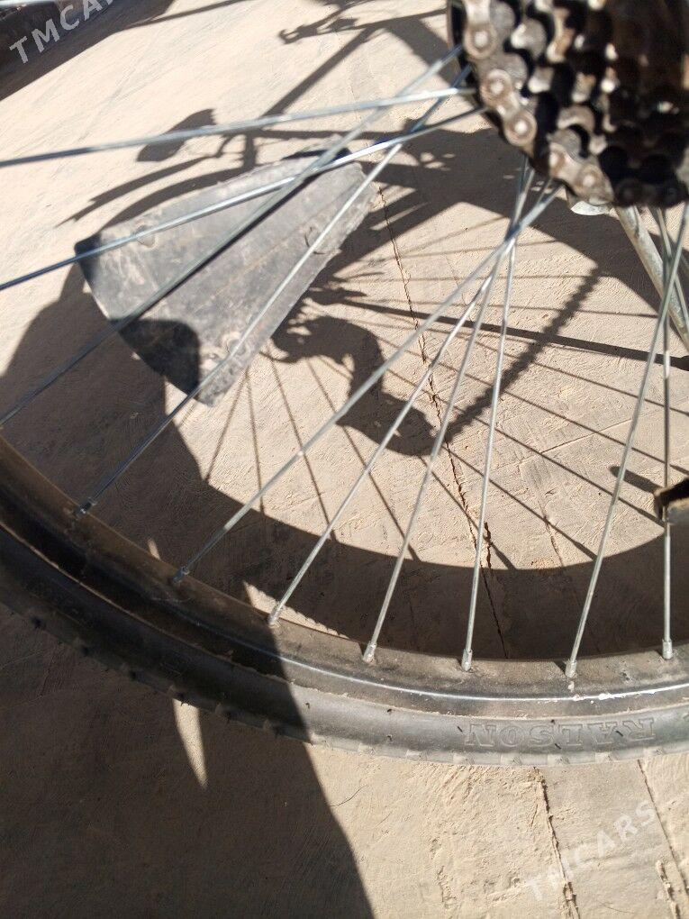 amansatr welik - Murgap - img 3