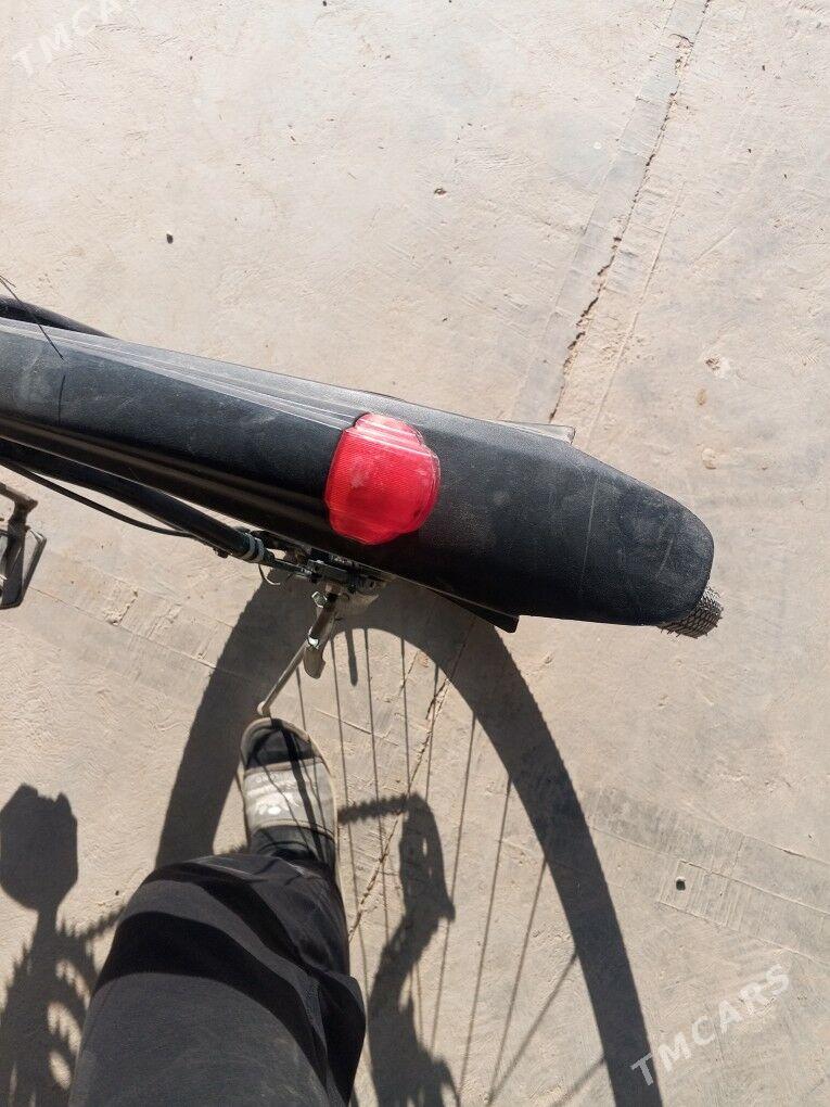 amansatr welik - Murgap - img 8