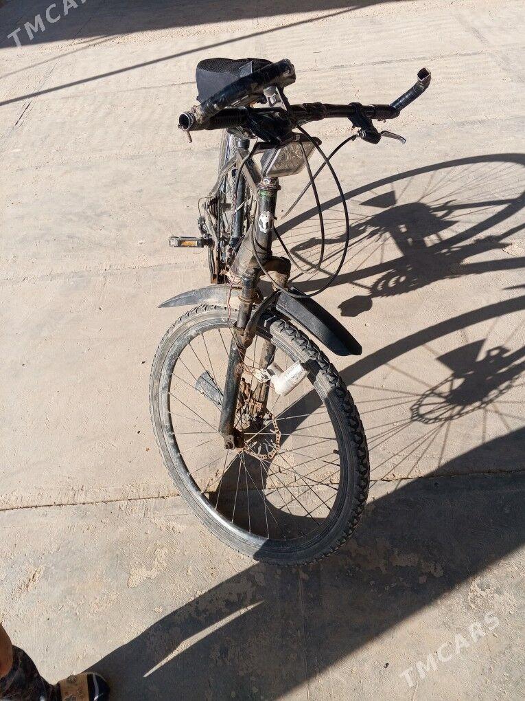 amansatr welik - Murgap - img 6