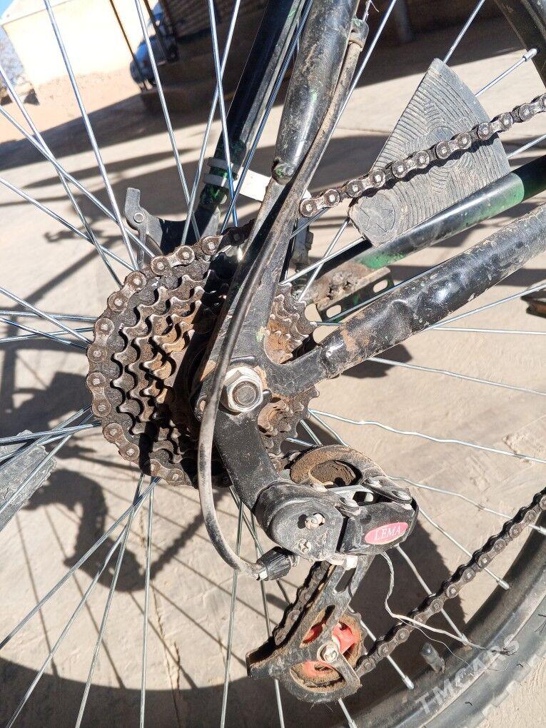 amansatr welik - Murgap - img 4