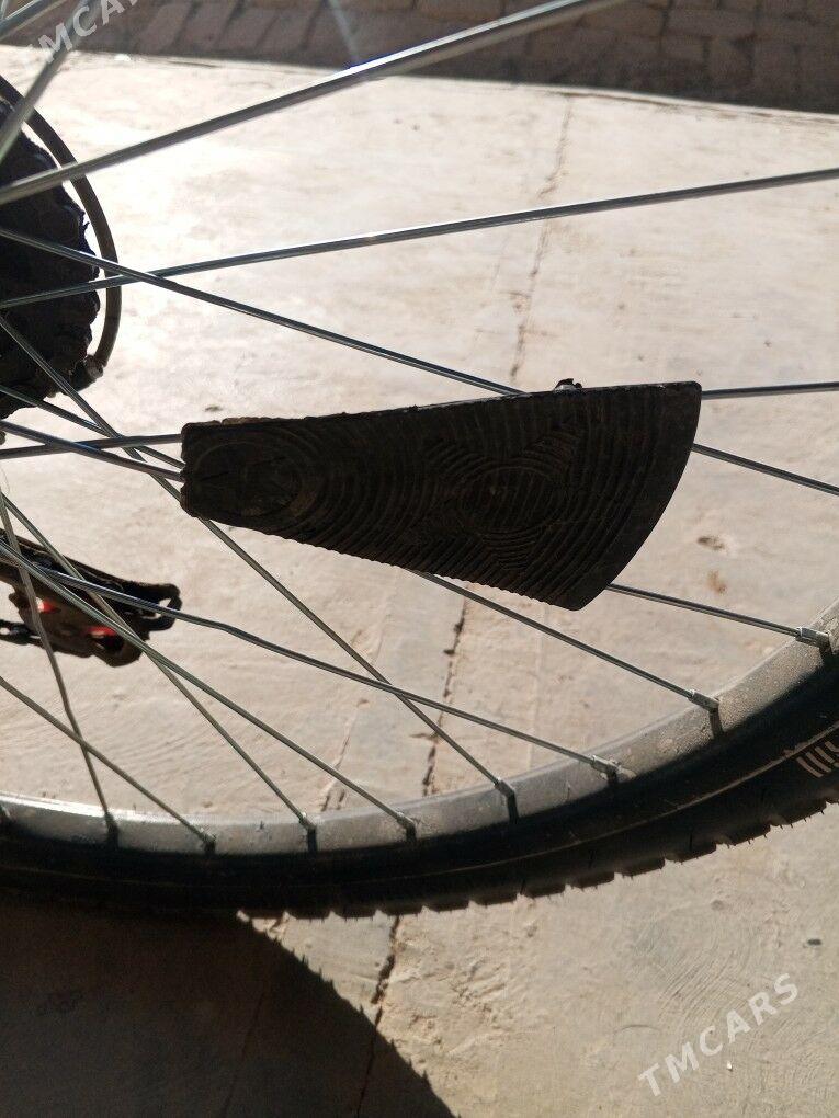 amansatr welik - Murgap - img 9