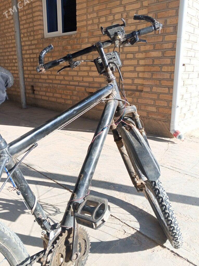 amansatr welik - Murgap - img 10