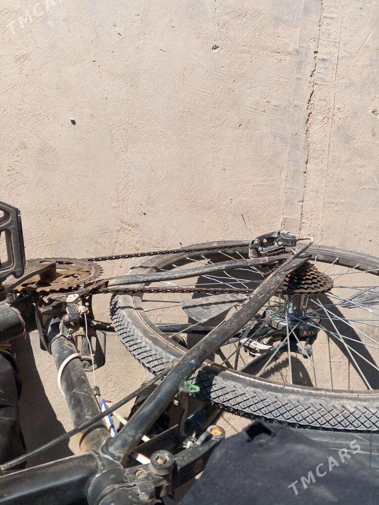 amansatr welik - Murgap - img 7