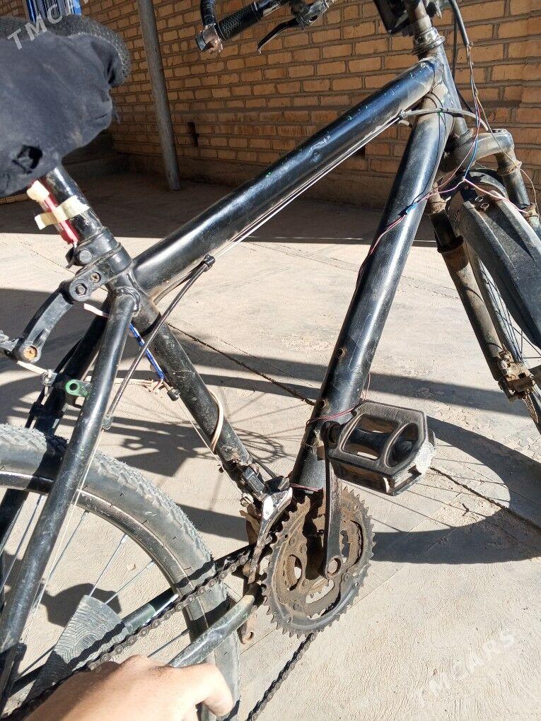 amansatr welik - Murgap - img 5