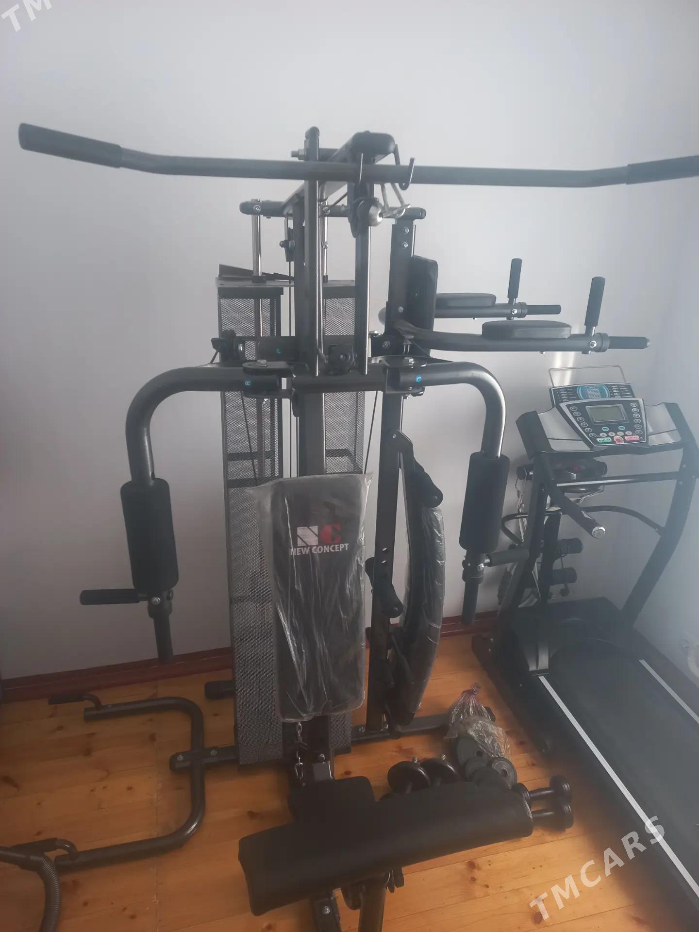 Trenazor, Begawoye dorozka - Sakarçäge - img 1