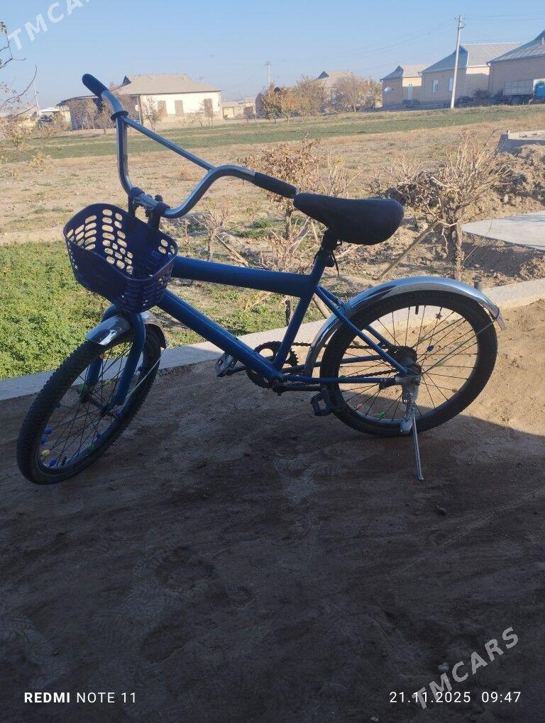 welseped - Сакарчага - img 2