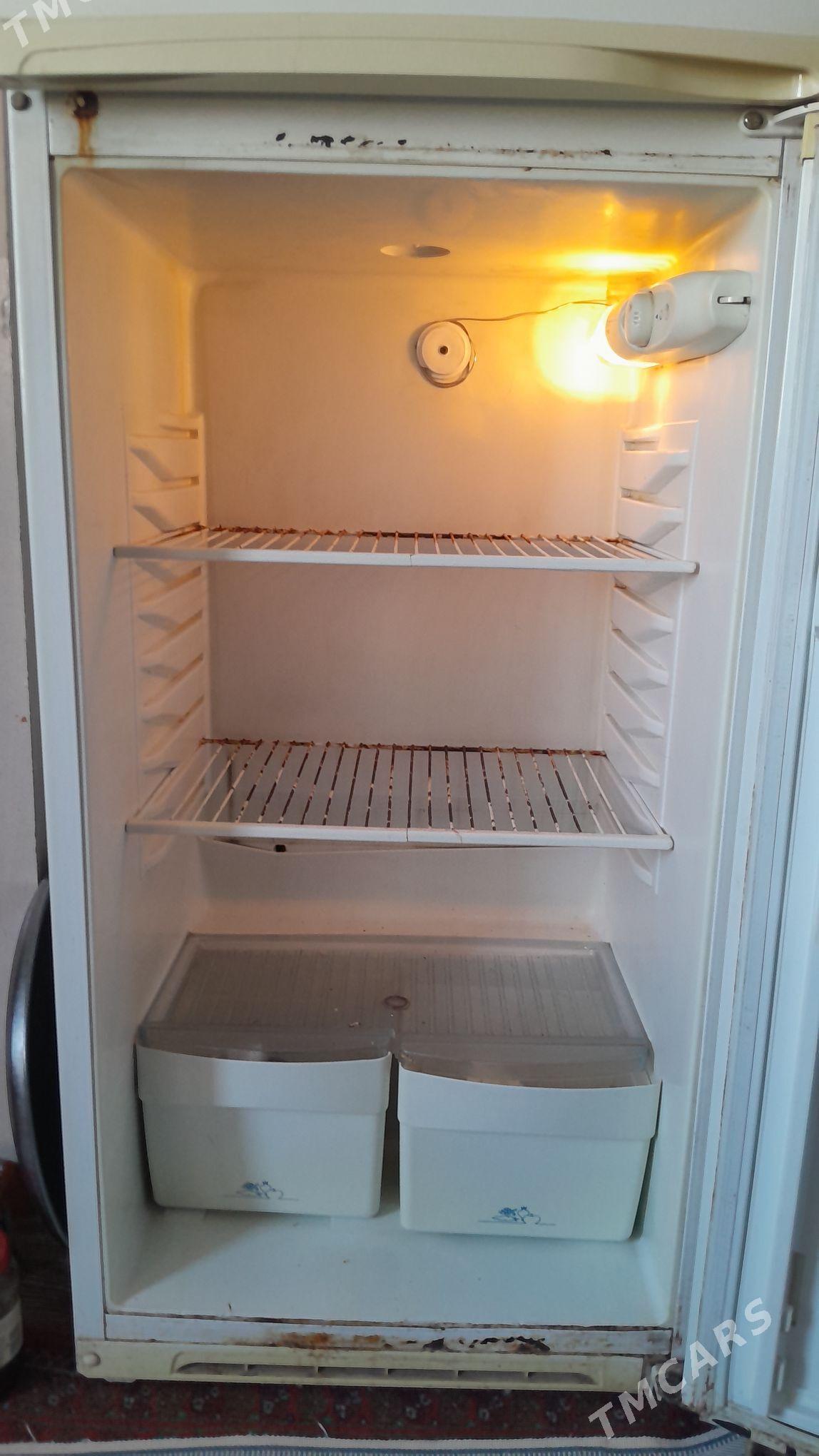 Holadilnik - Mary - img 2