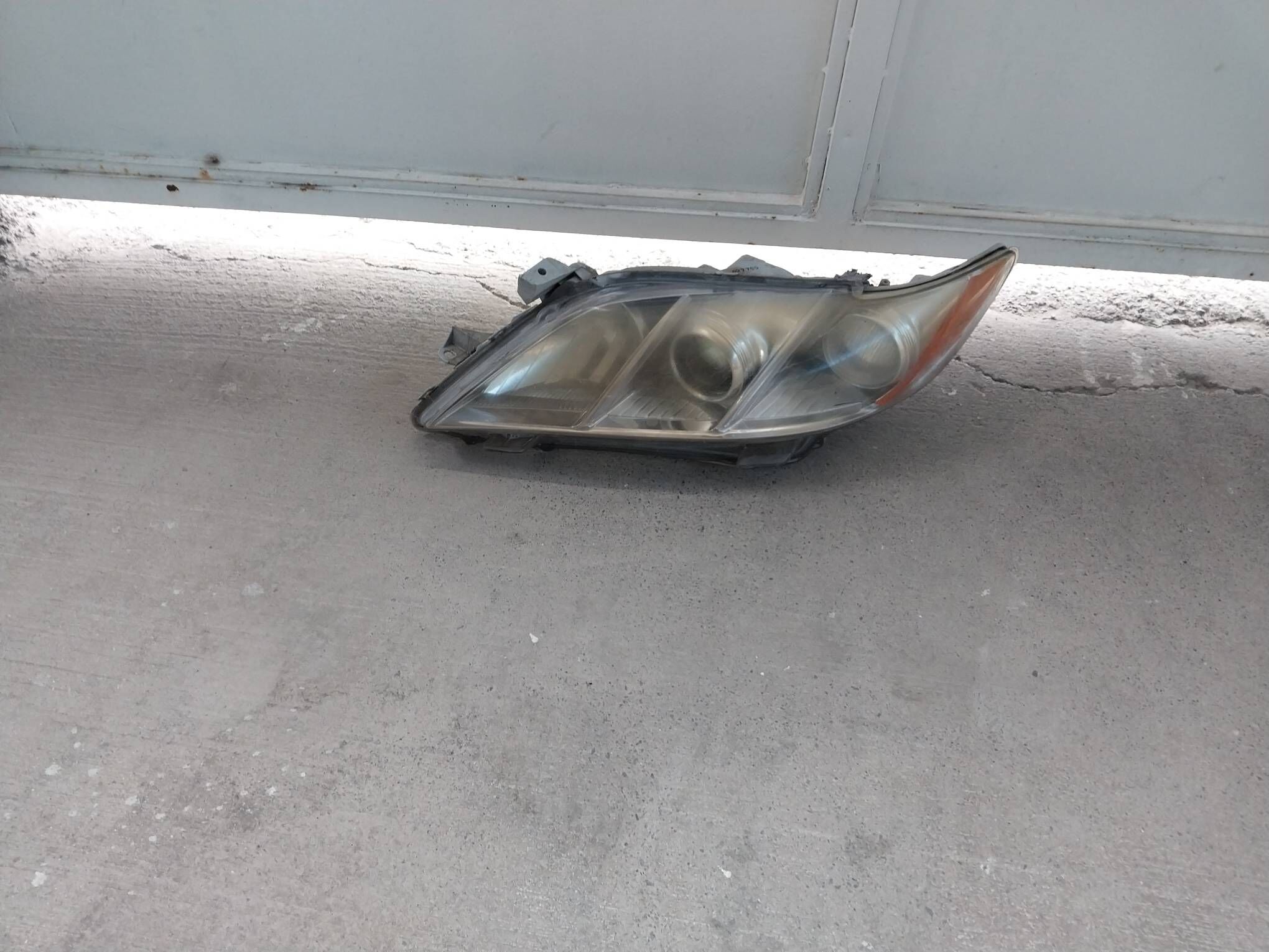 okuz kelle fara 500 TMT - Ашхабад - img 1