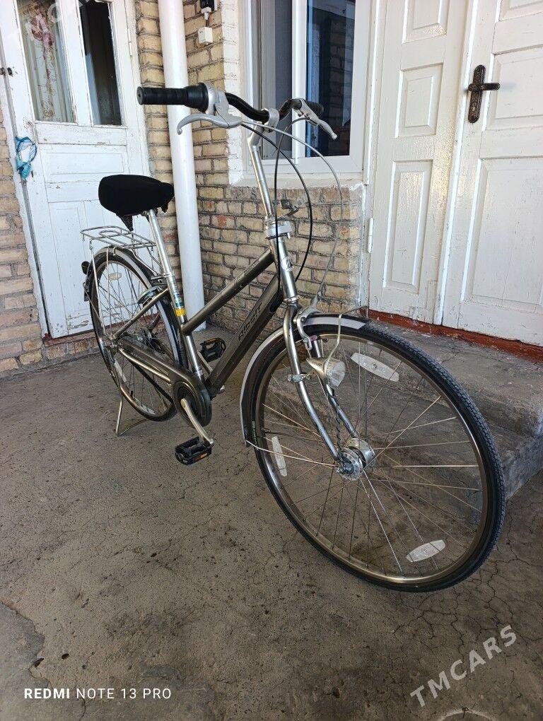 Albert 5 skor velik - Мары - img 3