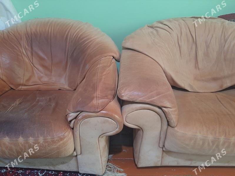 Diwan kresla - Ашхабад - img 2