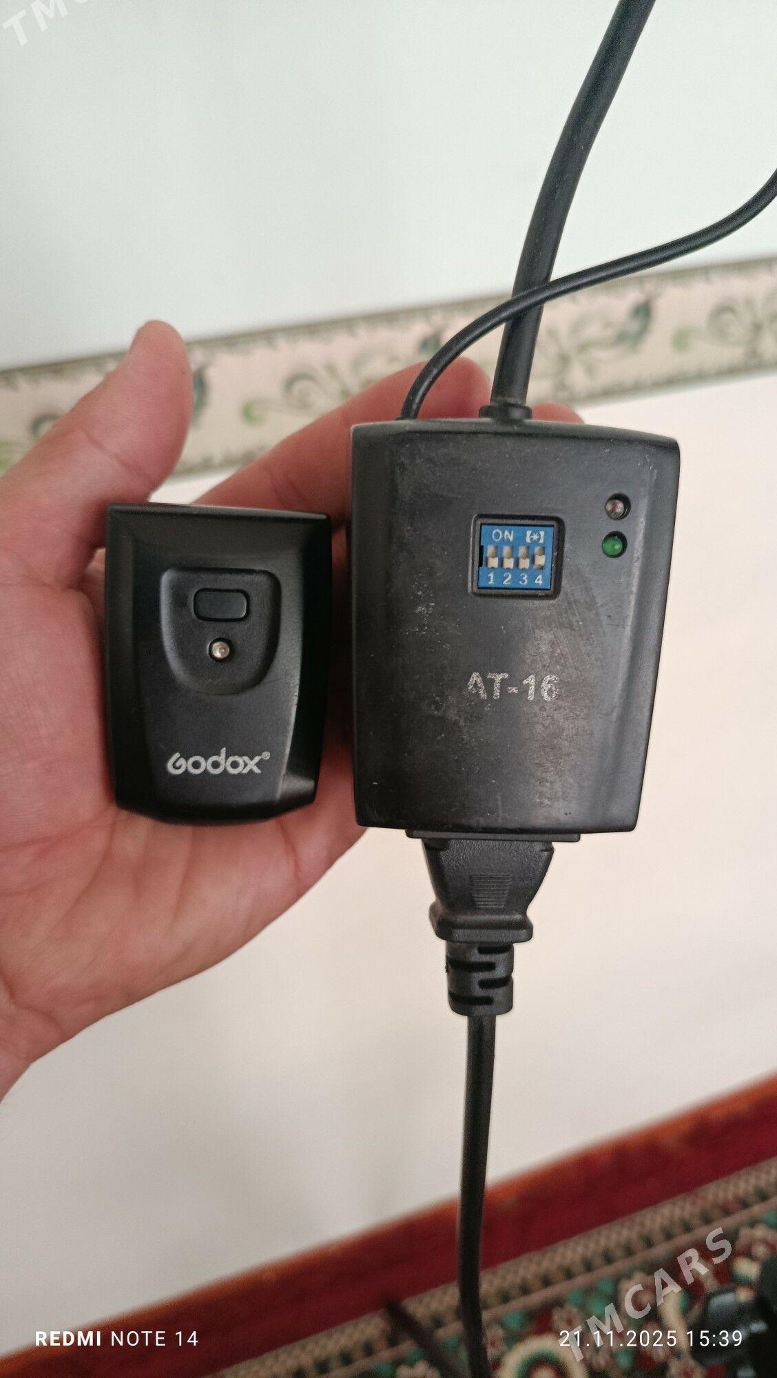 Asujenya 600lik codok - Сакарчага - img 2