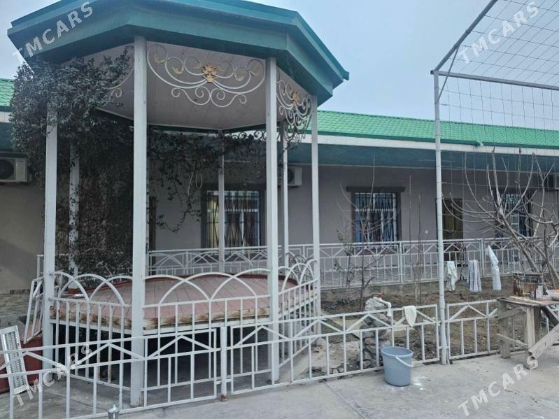 satlykanew plan - Änew - img 2