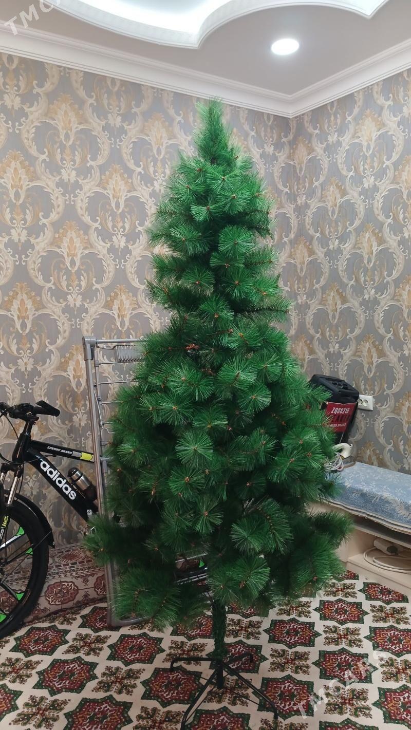 täzeje Ỳolka - Parahat 2 - img 6