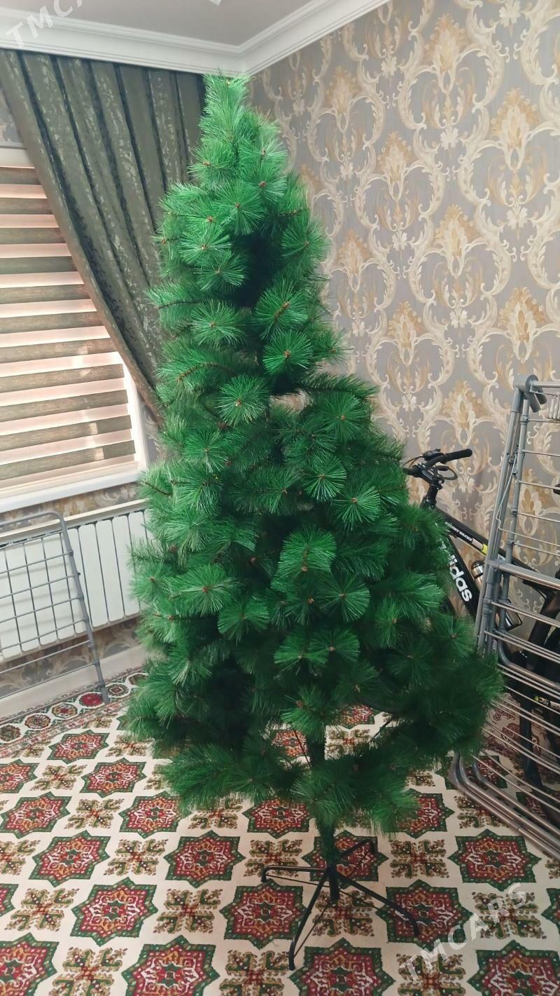 täzeje Ỳolka - Parahat 2 - img 3