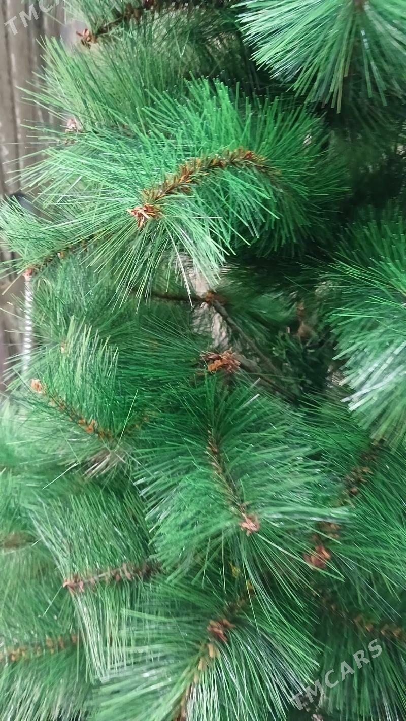 täzeje Ỳolka - Parahat 2 - img 4