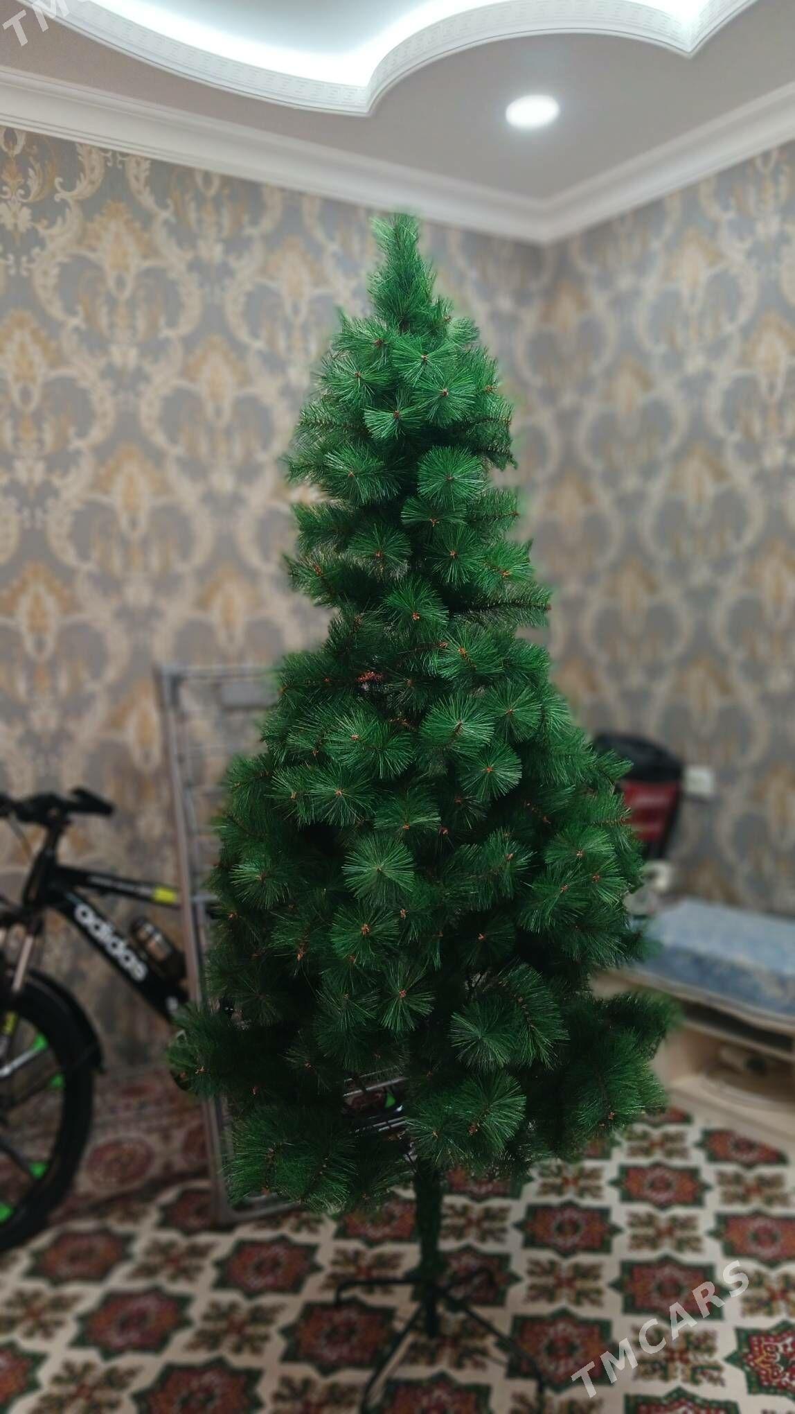 täzeje Ỳolka - Parahat 2 - img 2