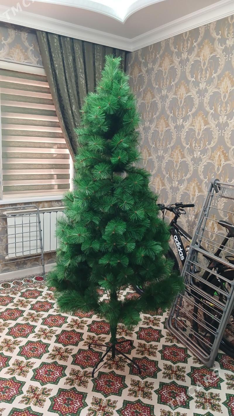 täzeje Ỳolka - Parahat 2 - img 5