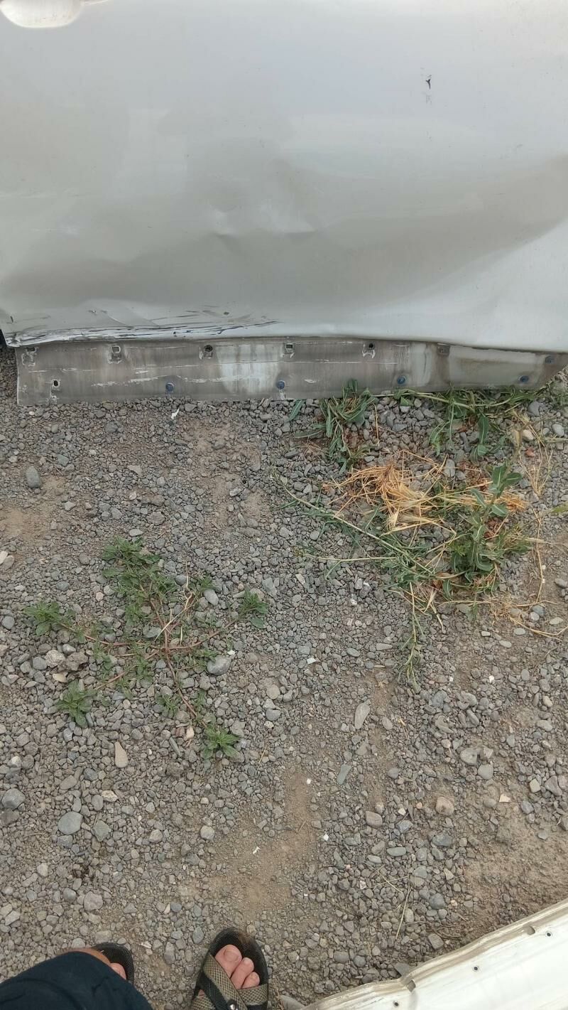 Haylandyr gapy 300 TMT - Багир - img 2