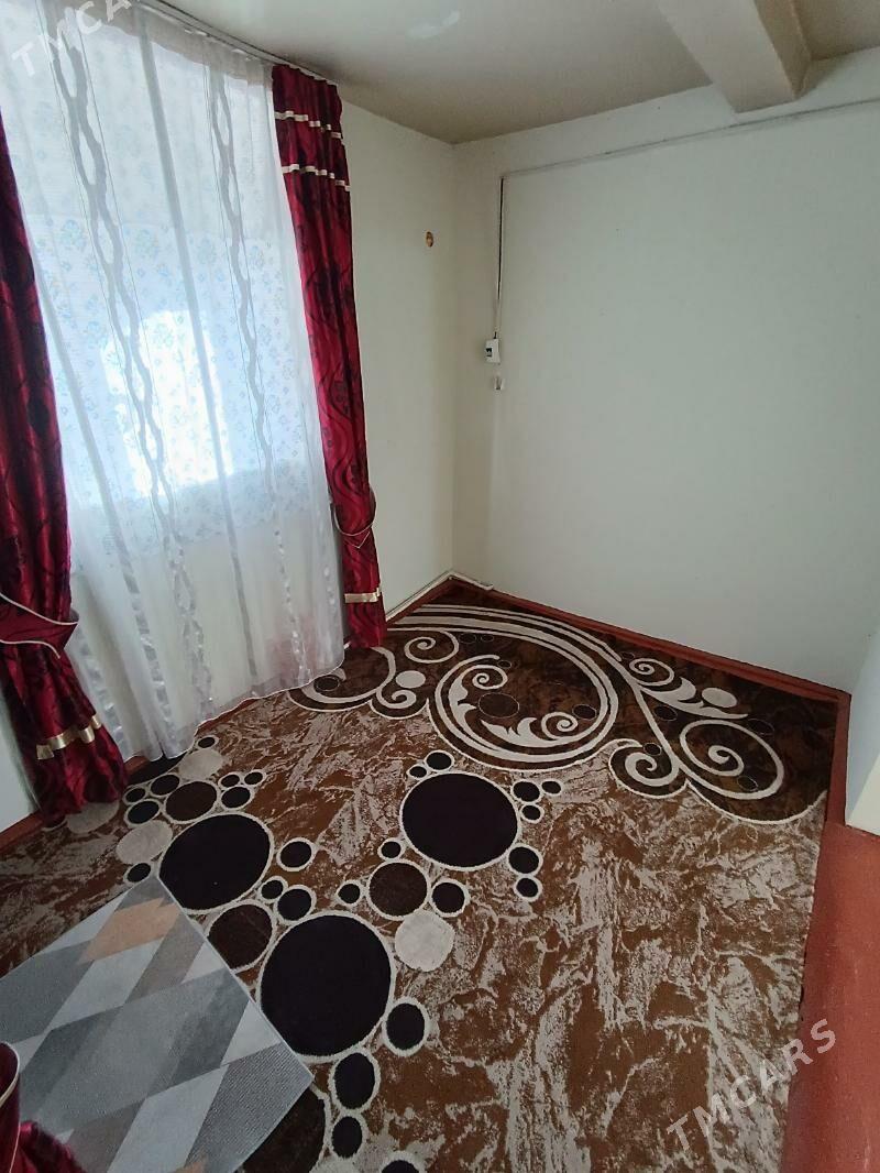 Satlyk jay - Mary - img 4