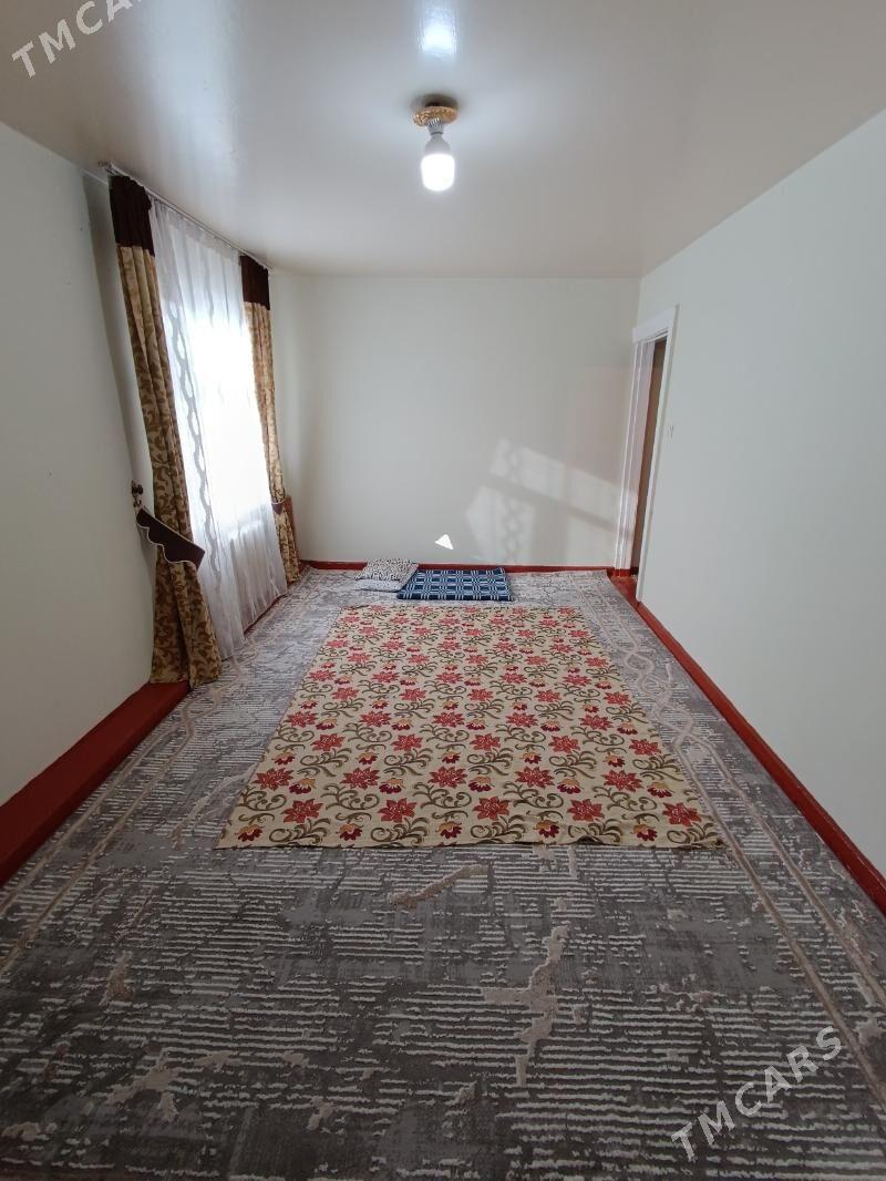 Satlyk jay - Mary - img 2