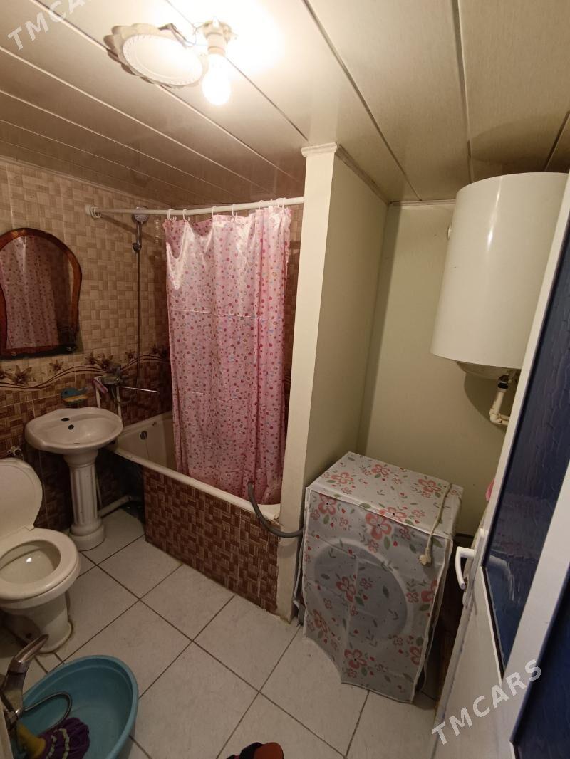 Satlyk jay - Mary - img 6