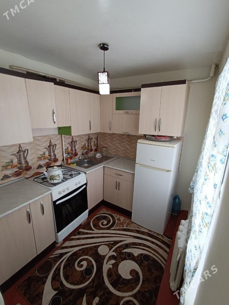 Satlyk jay - Mary - img 5