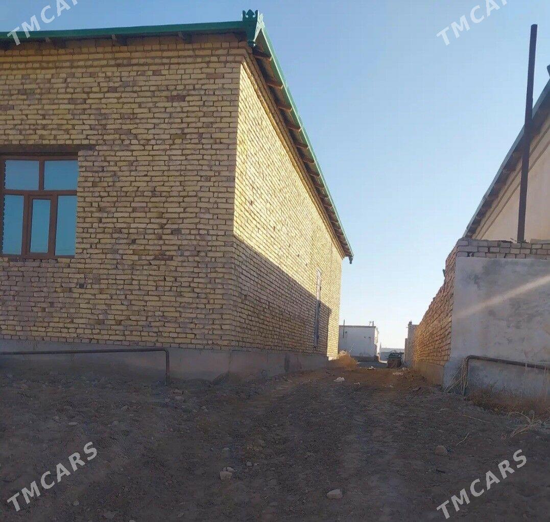 Gulustan - Daşoguz - img 2