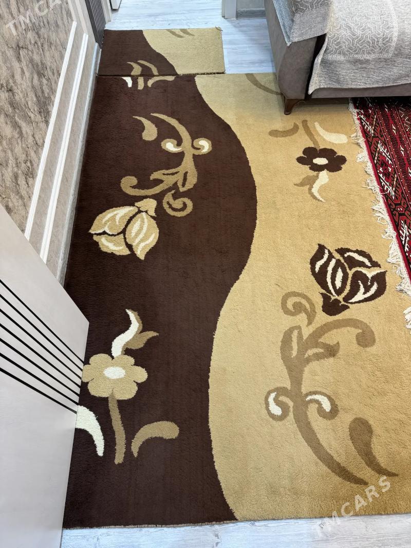 Haly - Дашогуз - img 3