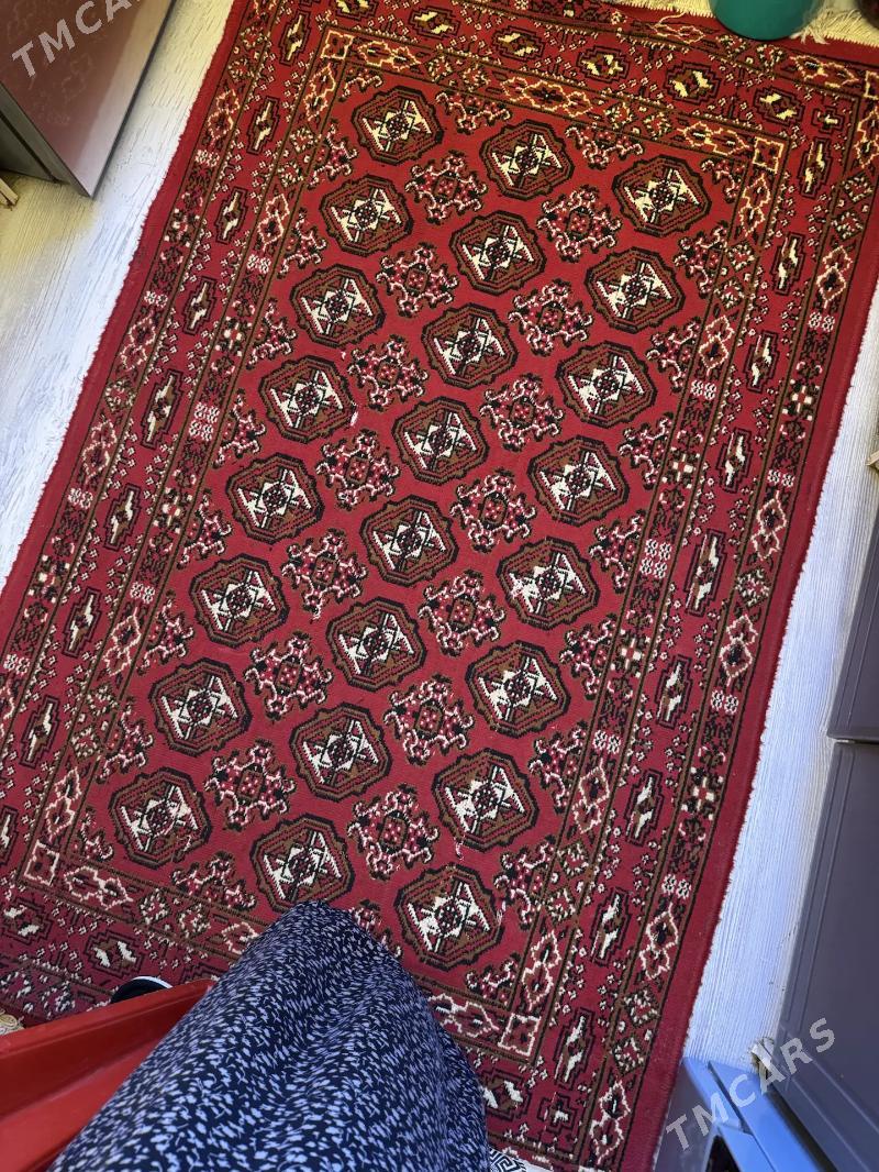 Haly - Дашогуз - img 6