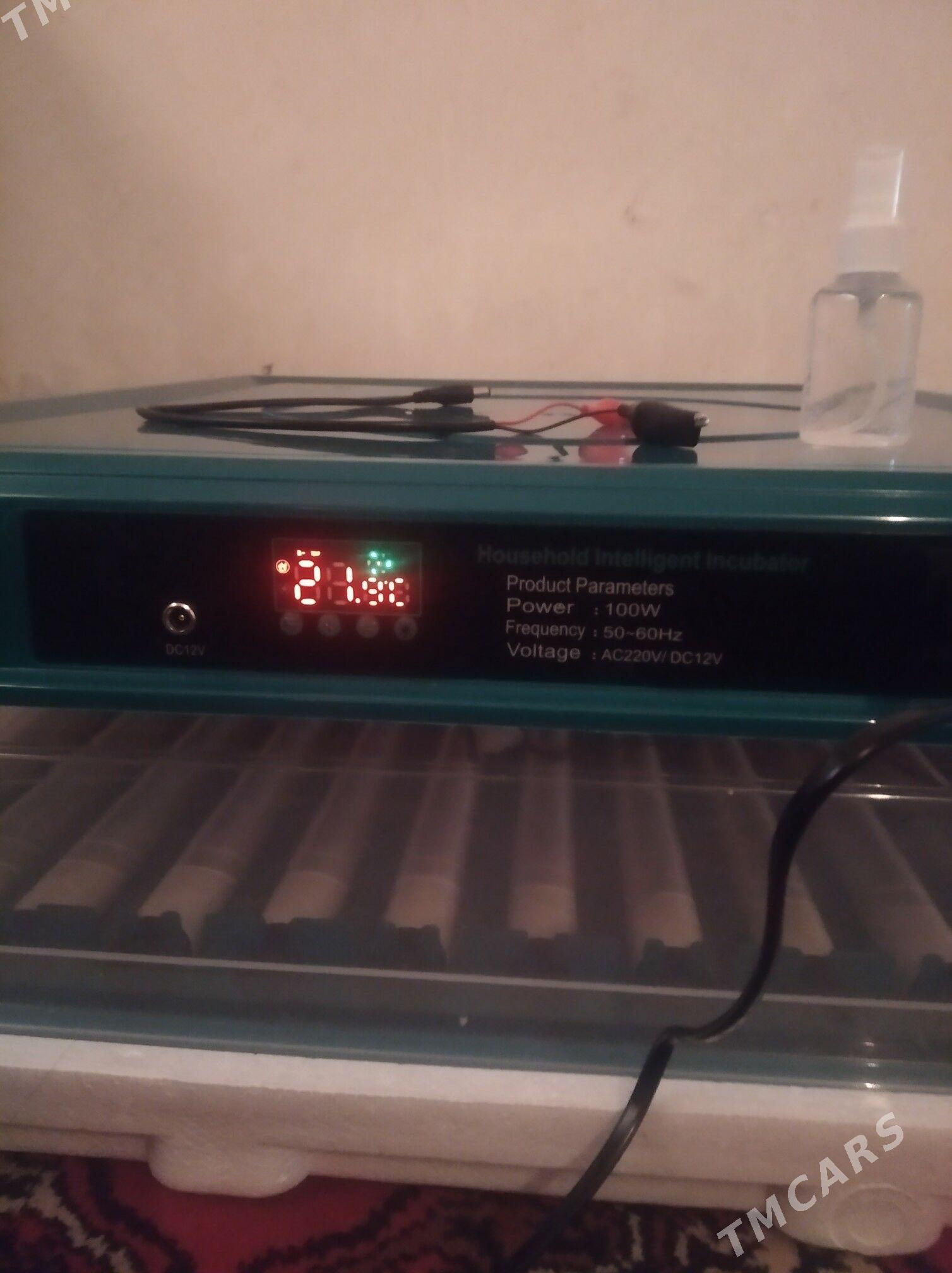 inkubator - Daşoguz - img 3